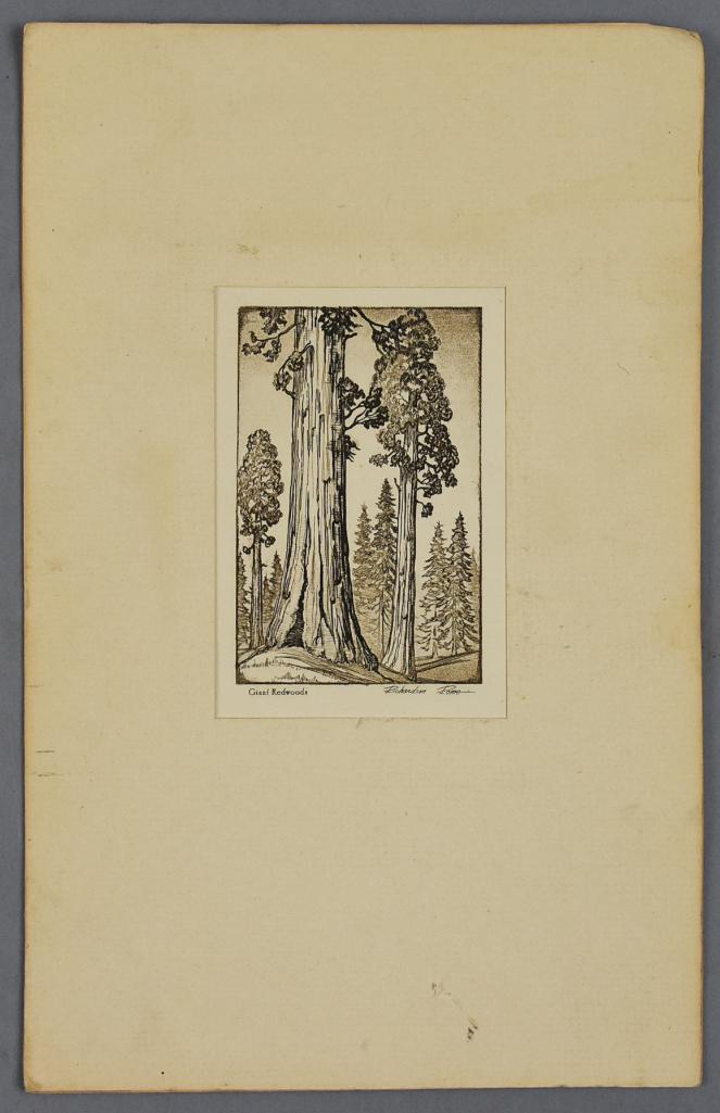 Richardson Rome (1902-1981) Giant Redwoods Etching (1 of 5)
