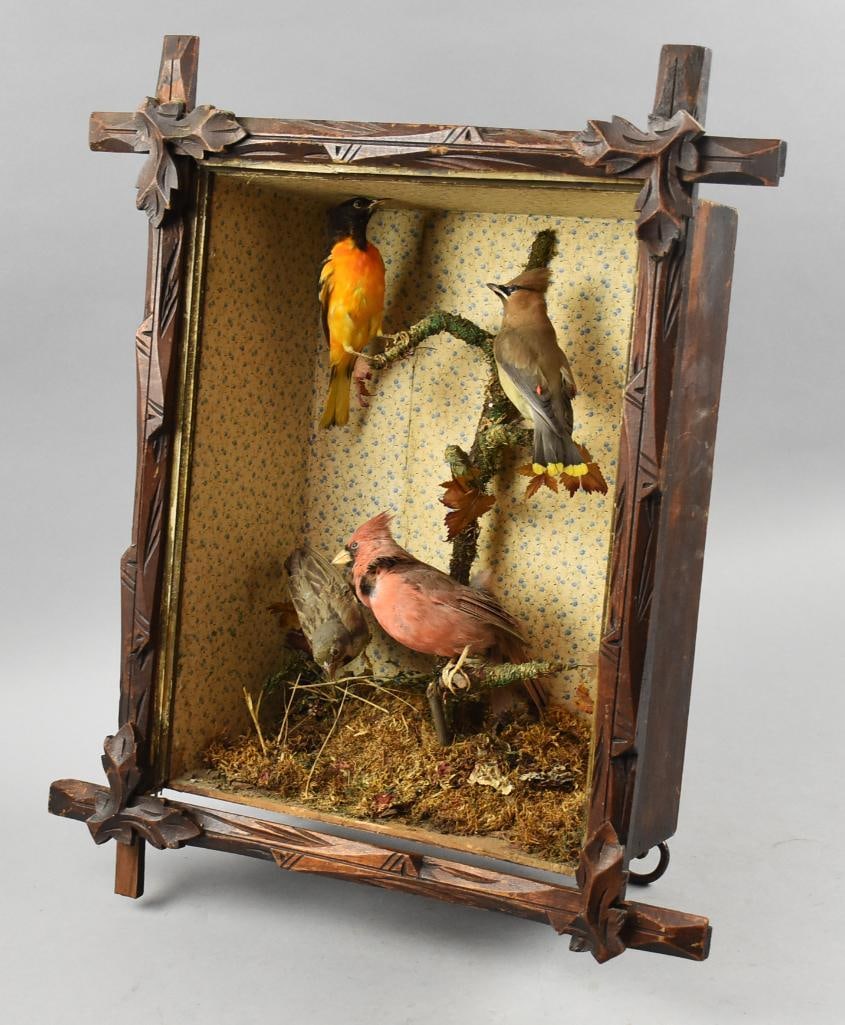 Victorian Shadowbox Taxidermy Birds, Adirondack Frame (1 of 8)