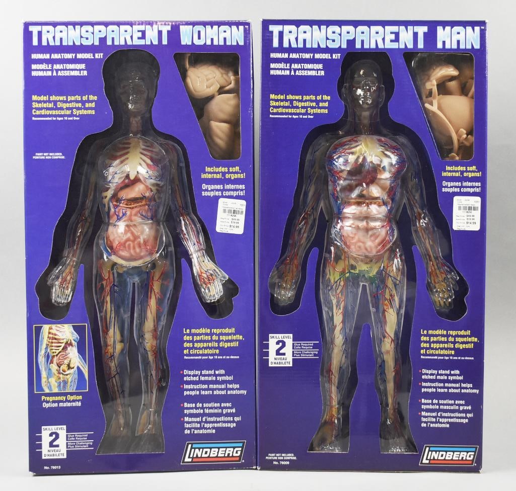 値下げ Revell The Visible Man 人体模型 アメリカレベル 値下げ Revell The Visible Man 人体模型 アメリカレベル - メルカリ