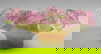 item-208552932=8