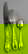 item-208552951=4