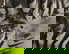 item-208552974=9