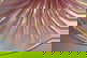item-208553008=12