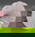 item-208553008=16