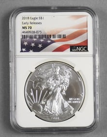 NCG 2018 $1 Eagle - Early Releases MS 70