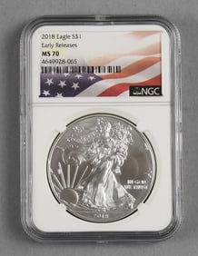 NGC 2018 $1 Eagle Early Releases 1 Oz Silver - MS-70