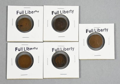 1890s-1900s Indian Head Cents - Unchecked VG-VF