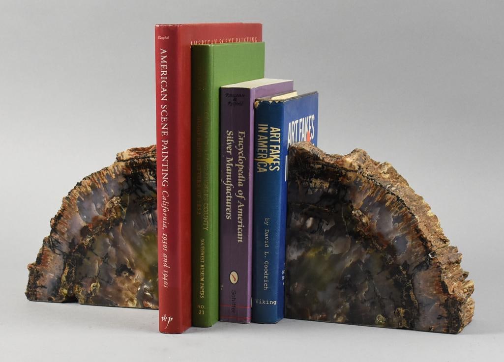 Fossilized Petrified Wood Bookend Pair (1 of 6)