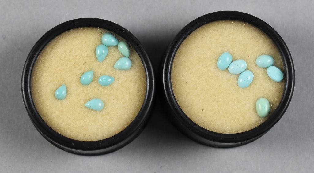 Turquoise Gemstones Assorted - 2