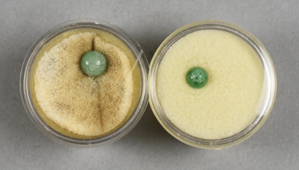 Loose Jade Stones - 3