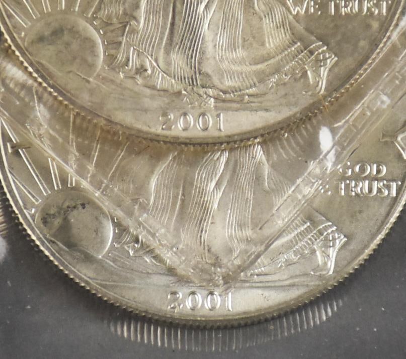 (7) 1990s-2000s Silver Eagles - Uncirculated - 3