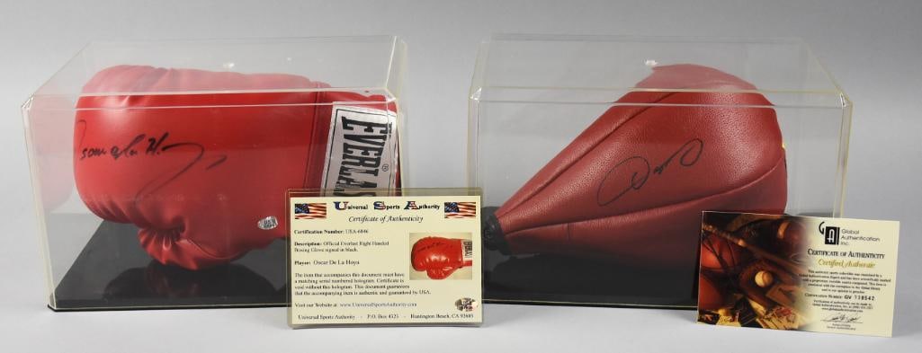 Oscar De La Hoya Boxing Gloves w/ COA & Hologram Stickers (1 of 6)