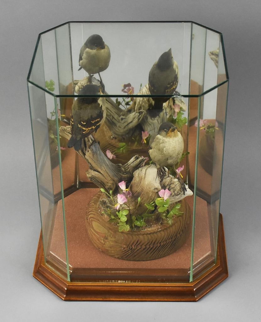 Vintage Eileen Conn Hand Carved Baby Fly Catchers in Case: Magnigicent piece of hand crafted art from 20th century artist Eileen Conn. It is called Baby Fly Catchers and is hand carved with two birds on branches with small flowers and leaves, mounted to a woo