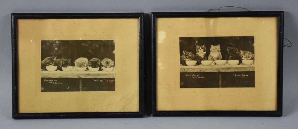 1903 CA Burnham Kitten Sepia Tone Photographs, Signed: These darling photographs are from 1903. They are copyrighted by C.A. Burnham. Sepia toned photos are the same group of kittens with one being called Over the Teacups and one Giving Thanks. They