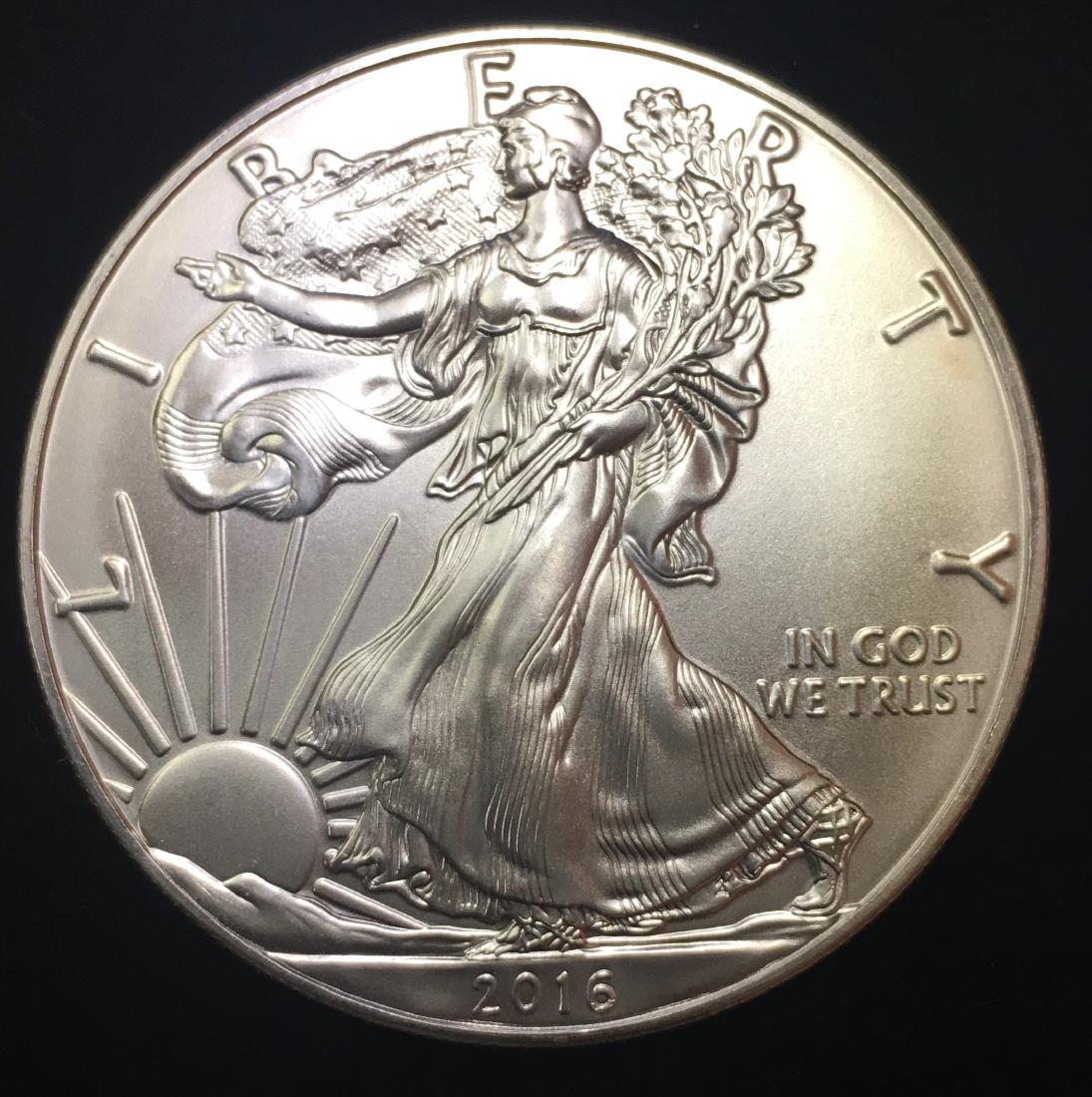 2016 $1 American Silver Eagle 1 oz Fine Silver (1 of 2)