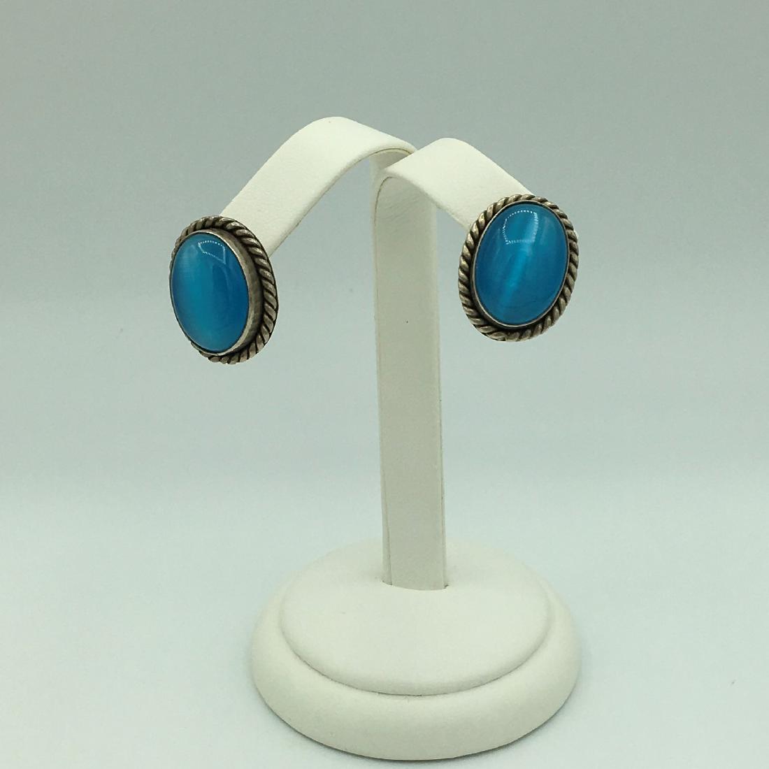 Sterling Silver and Cat\'s Eye Tourmaline Earrings 15.1 (1 of 3)