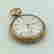 item-70796270=6
