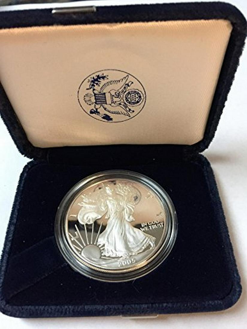 2005 W American Eagle $1 Proof Mint (1 of 1)
