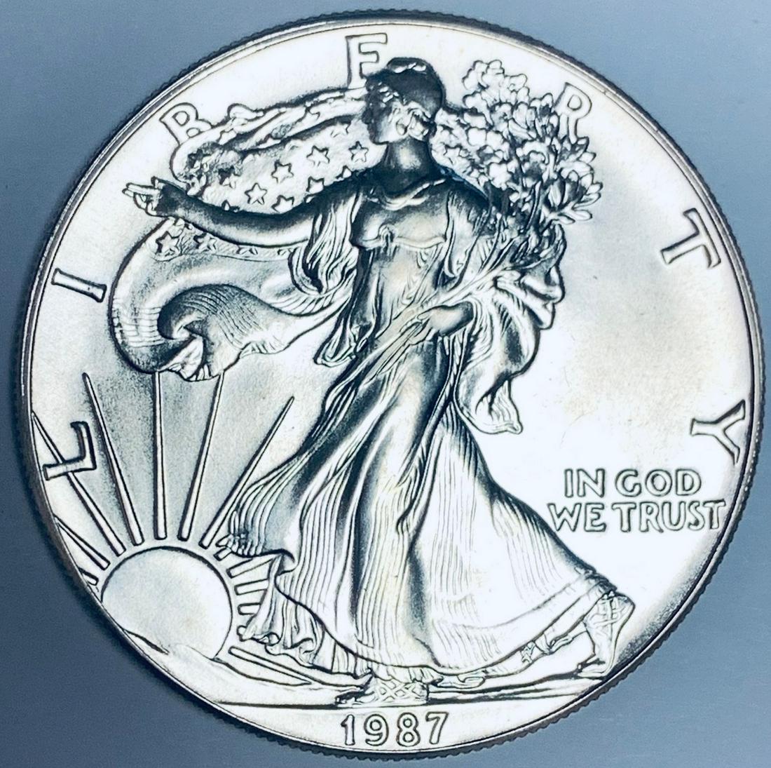 1987 $1 American Silver Eagle 1 oz .999 Fine Silver (1 of 6)