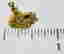 item-102804742=4
