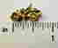 item-102804744=3