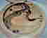 item-111245830=2