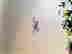 item-130923520=5