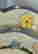 item-130924066=11