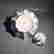 item-131684015=2