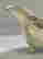 item-136554490=6