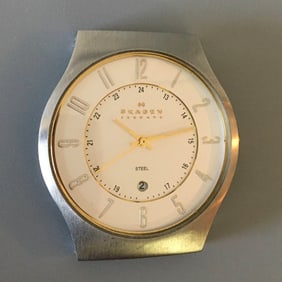 Skagen 233XLSS Steel Wrist Watch for Men