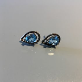 Silver and Topaz Earrings