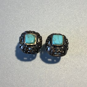 Sterling Silver & Turquoise Earrings