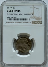 1919-P 5c Buffalo Nickel NGC Unc Details