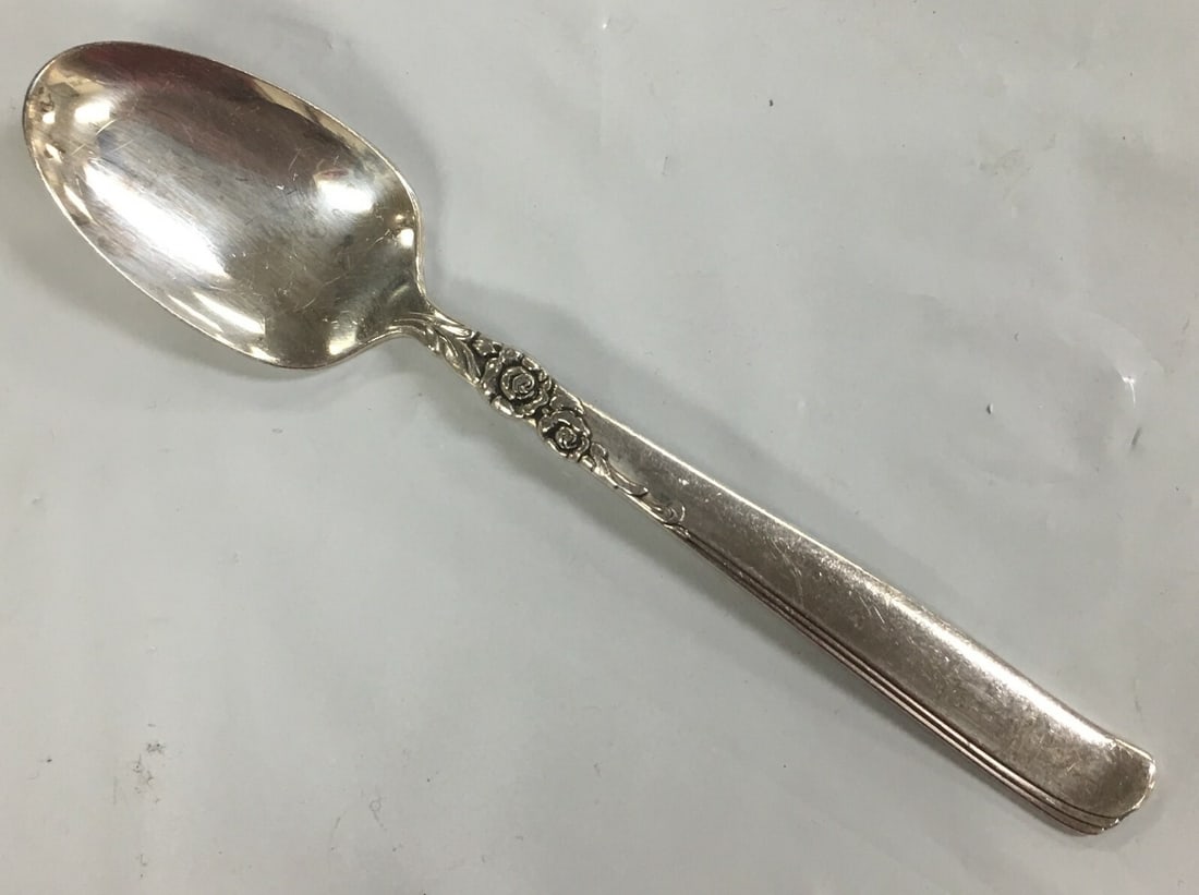 Vintage Oneida Prestige Gay Adventure Silver-Plated Tea Spoon 6 1/8". (1 of 9)