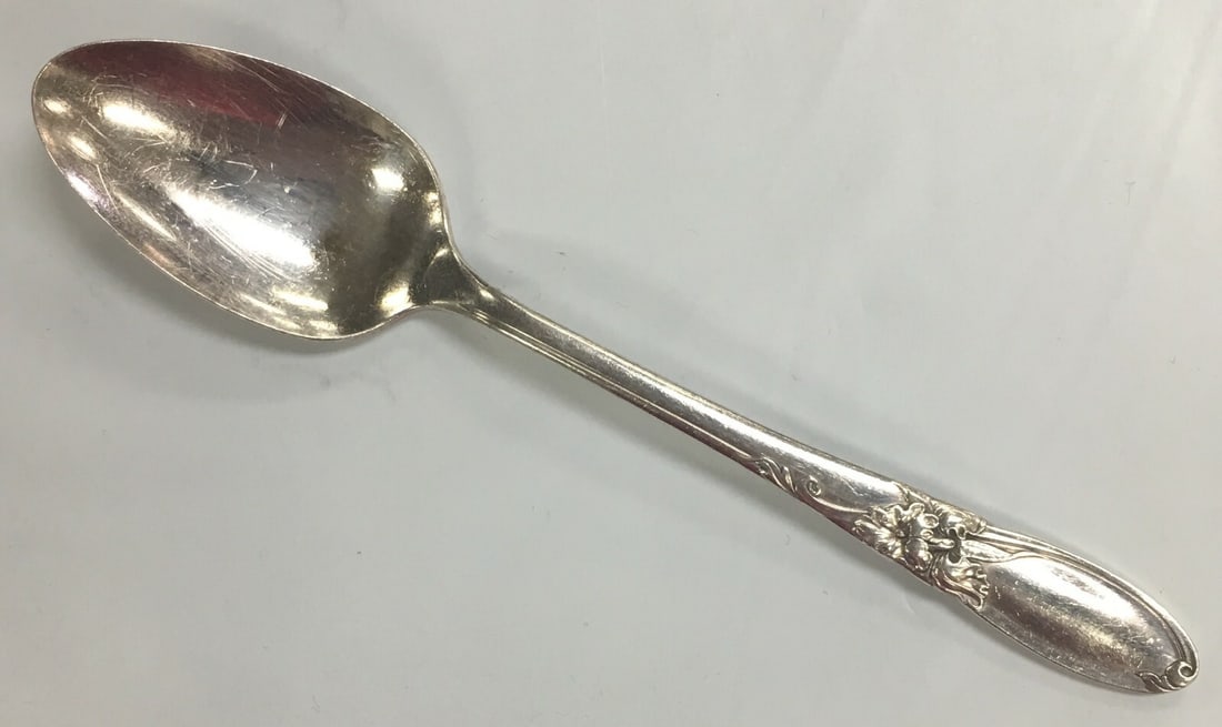 Oneida Community White Orchid Silver-Plated Teaspoon 6 1/8". (1 of 9)