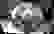 item-34996766=3