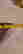 item-130097049=6