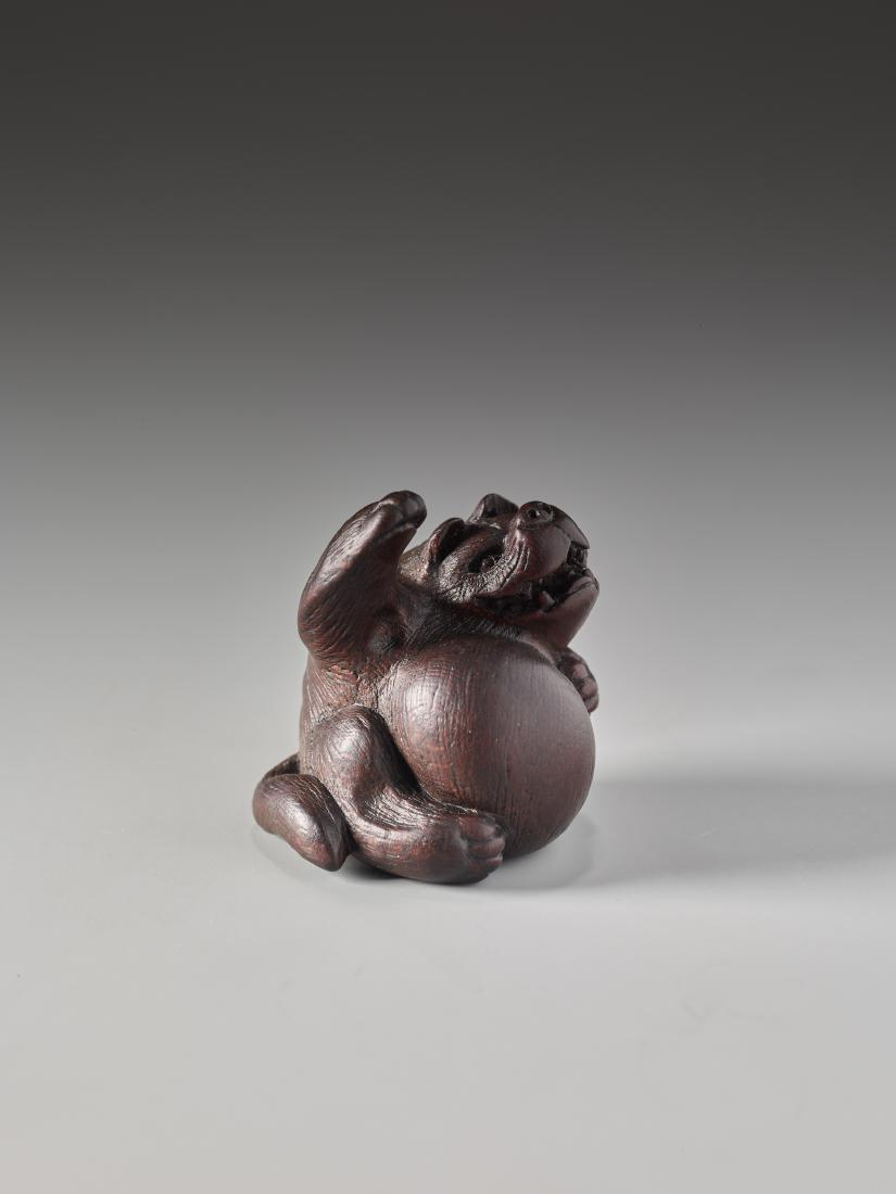 AN EBONY WOOD NETSUKE OF A TANUKI BY TOMIN (1 of 8)