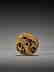 A WALRUS TUSK RYUSA MANJU NETSUKE OF AN OLD DRAGON - 2