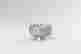 item-119129381=3