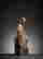 item-122750030=9