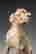 item-130187128=2