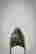 item-130187819=2