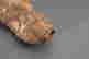 item-130187820=11