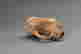 item-130187820=15