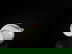item-210142224=9