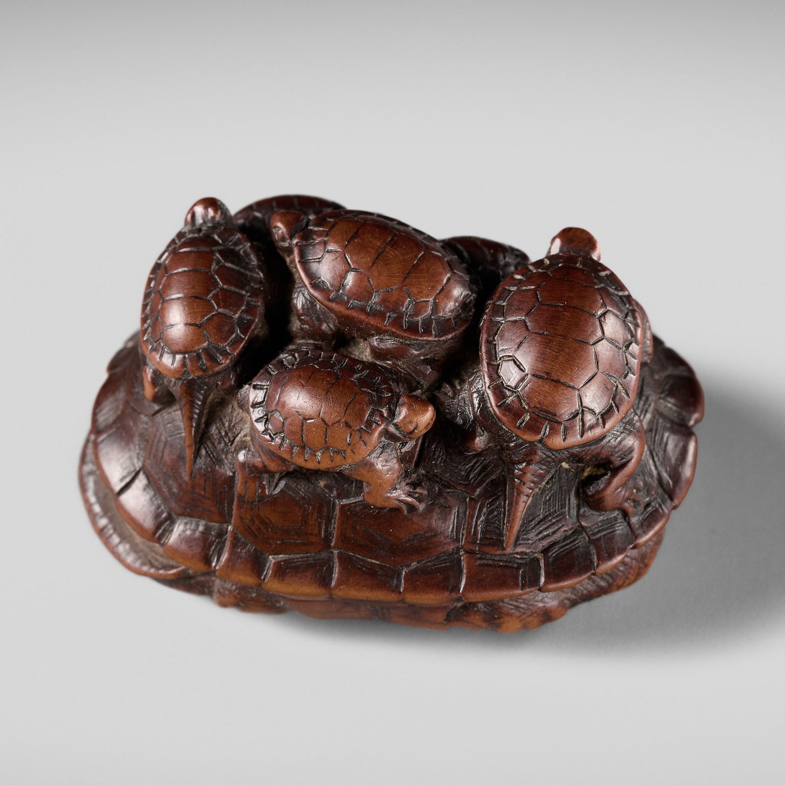 MINKO: A RARE WOOD NETSUKE OF A TURTLE WITH SIX YOUNG (1 of 14)