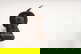 item-210142503=11
