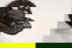 item-210142505=4
